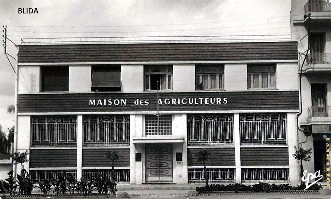 Blida - Maison des Agriculteurs.jpg